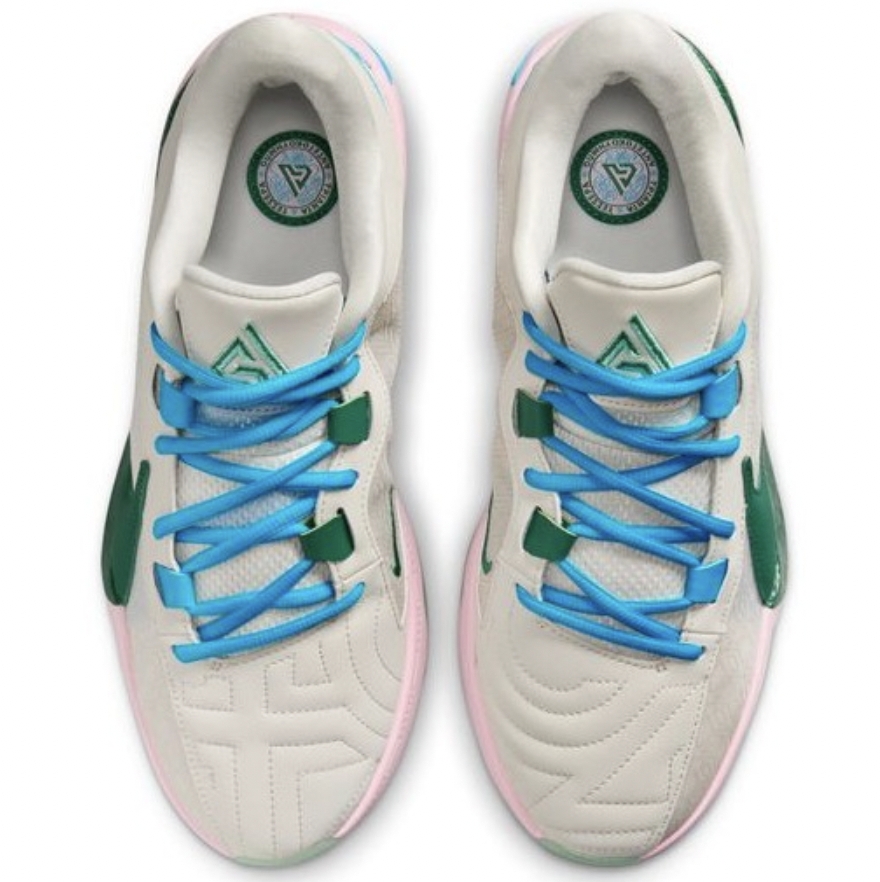 Баскетбольные кроссовки Nike Zoom Freak 5 | DX4985-100