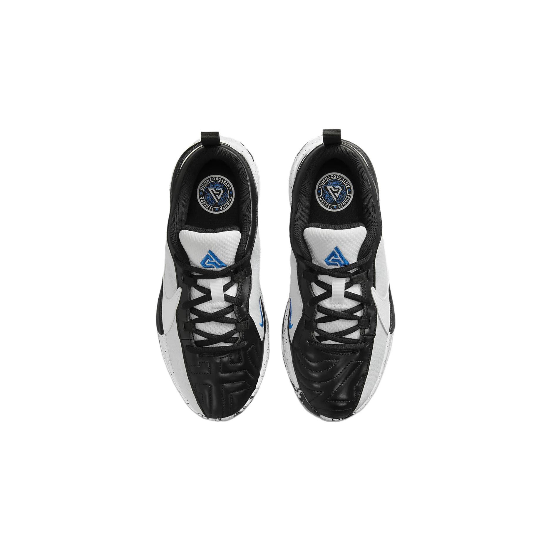 Баскетбольные кроссовки Nike Zoom Freak 5 GS | DZ4486-100