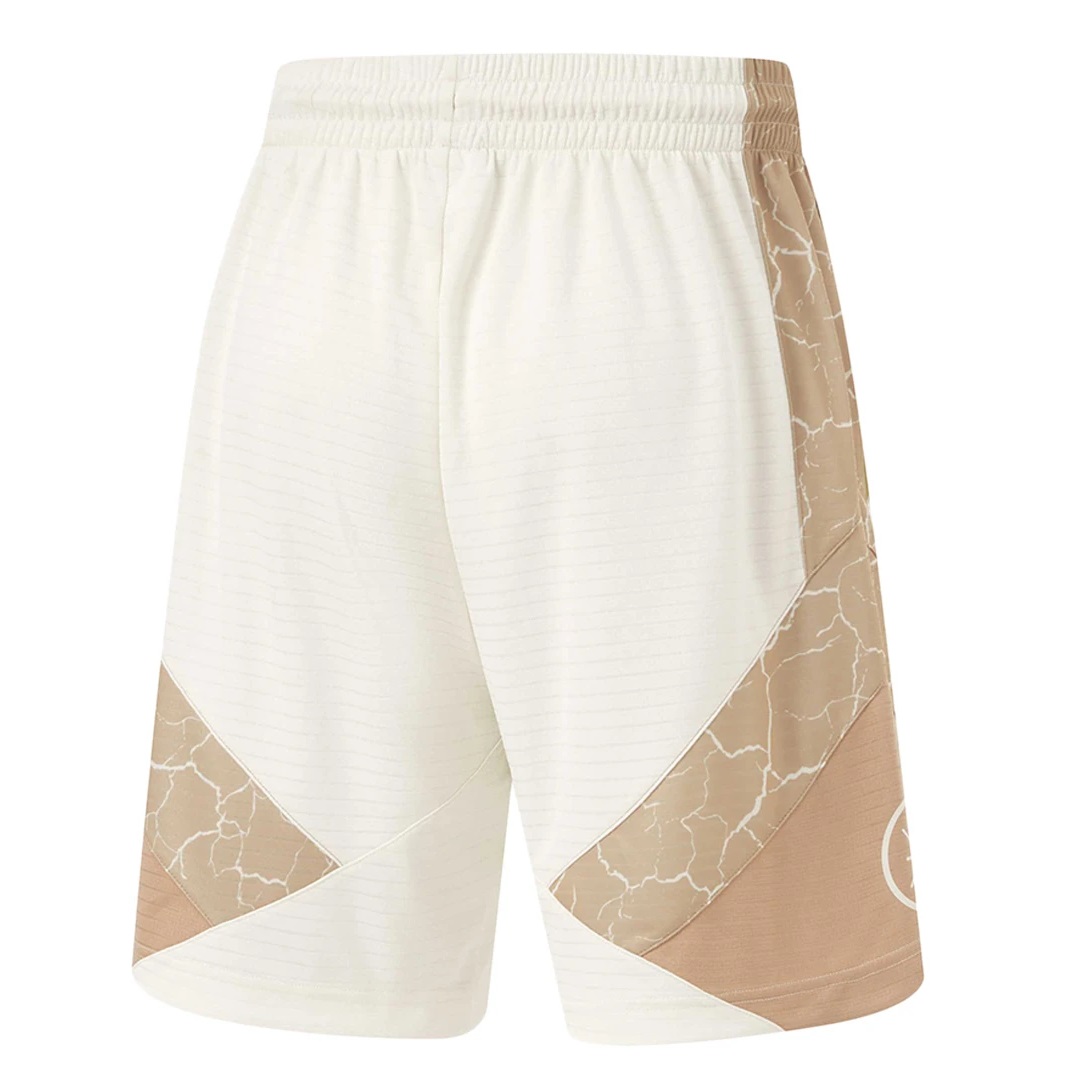 Баскетбольные шорты Li-Ning Wade | AAPU063-3