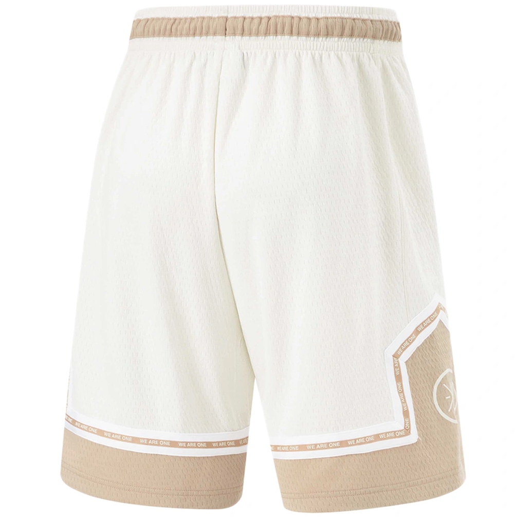 Баскетбольные шорты Li-Ning Wade | AAPU061-3