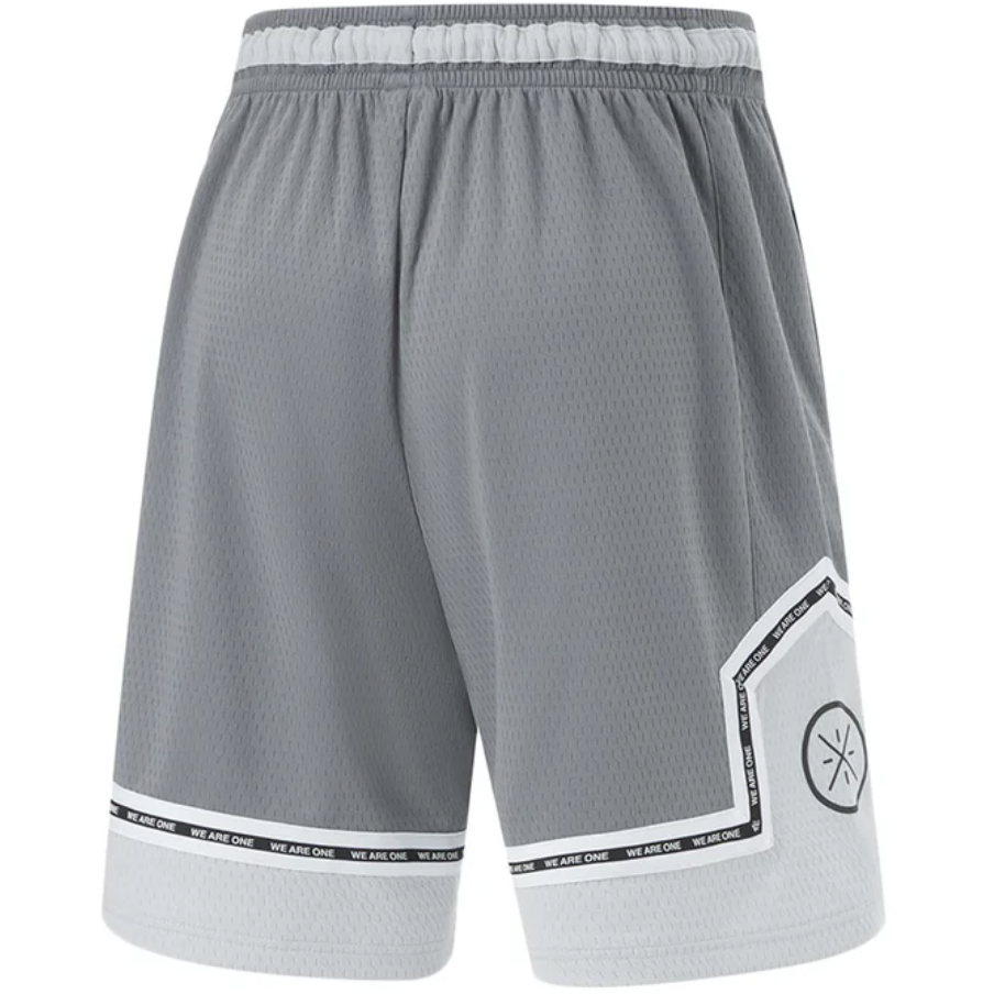 Баскетбольные шорты Li-Ning Wade | AAPU061-1