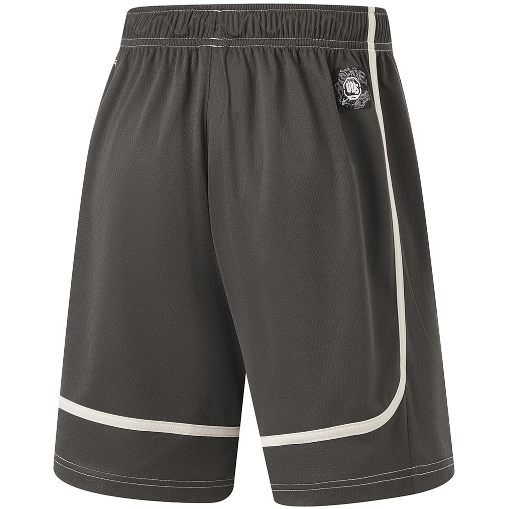 Баскетбольные шорты Li-Ning Badfive | AAPU103-4