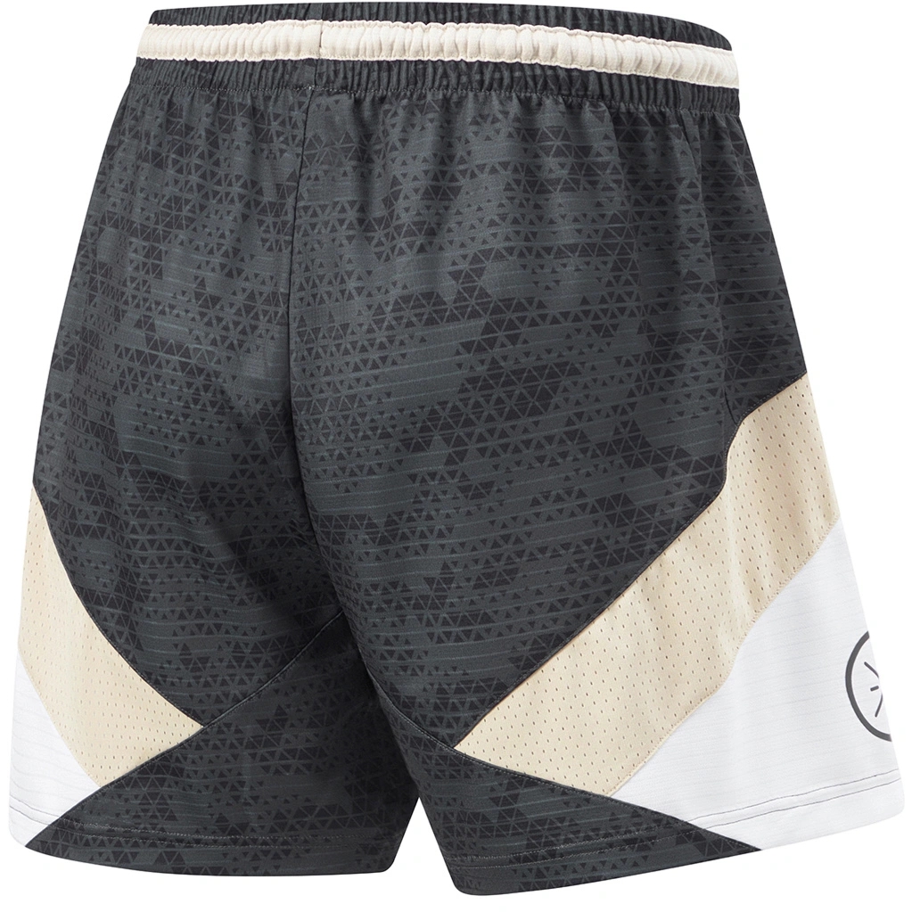 Баскетбольные шорты Li-Ning Wade | AAPU017-4