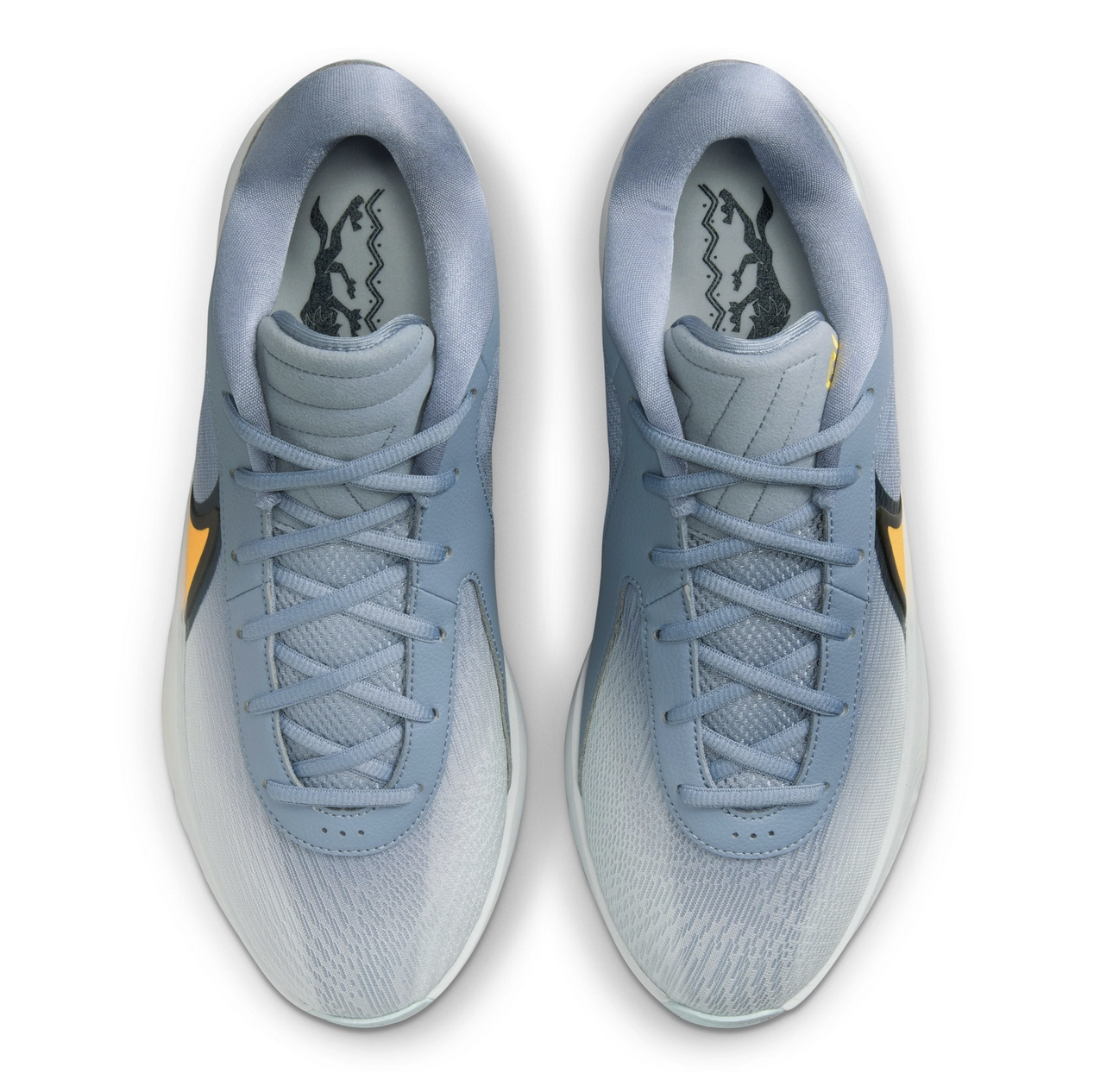 Баскетбольные кроссовки Nike Zoom Freak 6 | FJ7792-400