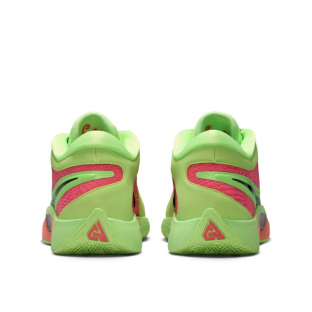 Баскетбольные кроссовки Nike Zoom Freak 6 NRG | HJ9109-300