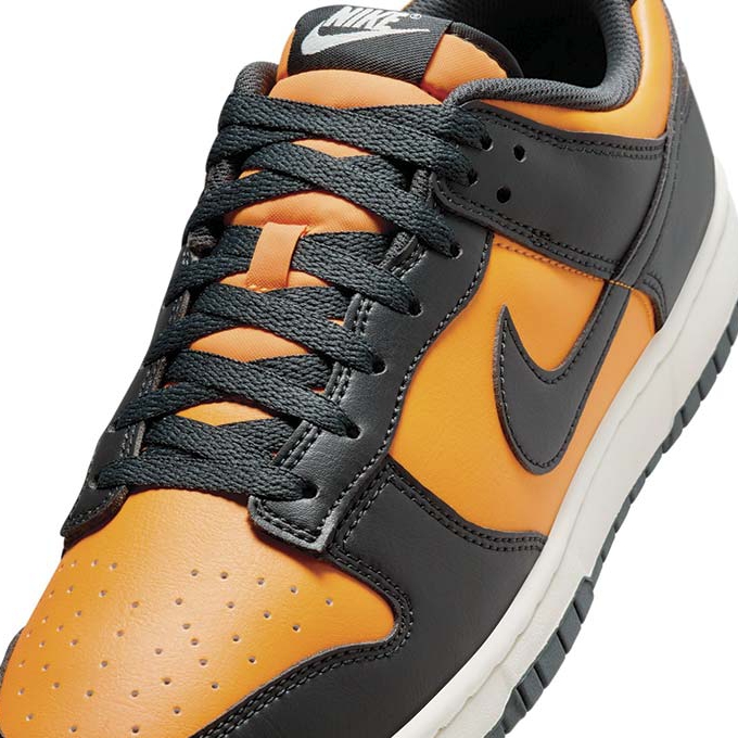 Кроссовки Nike Dunk Low | HF5441-700