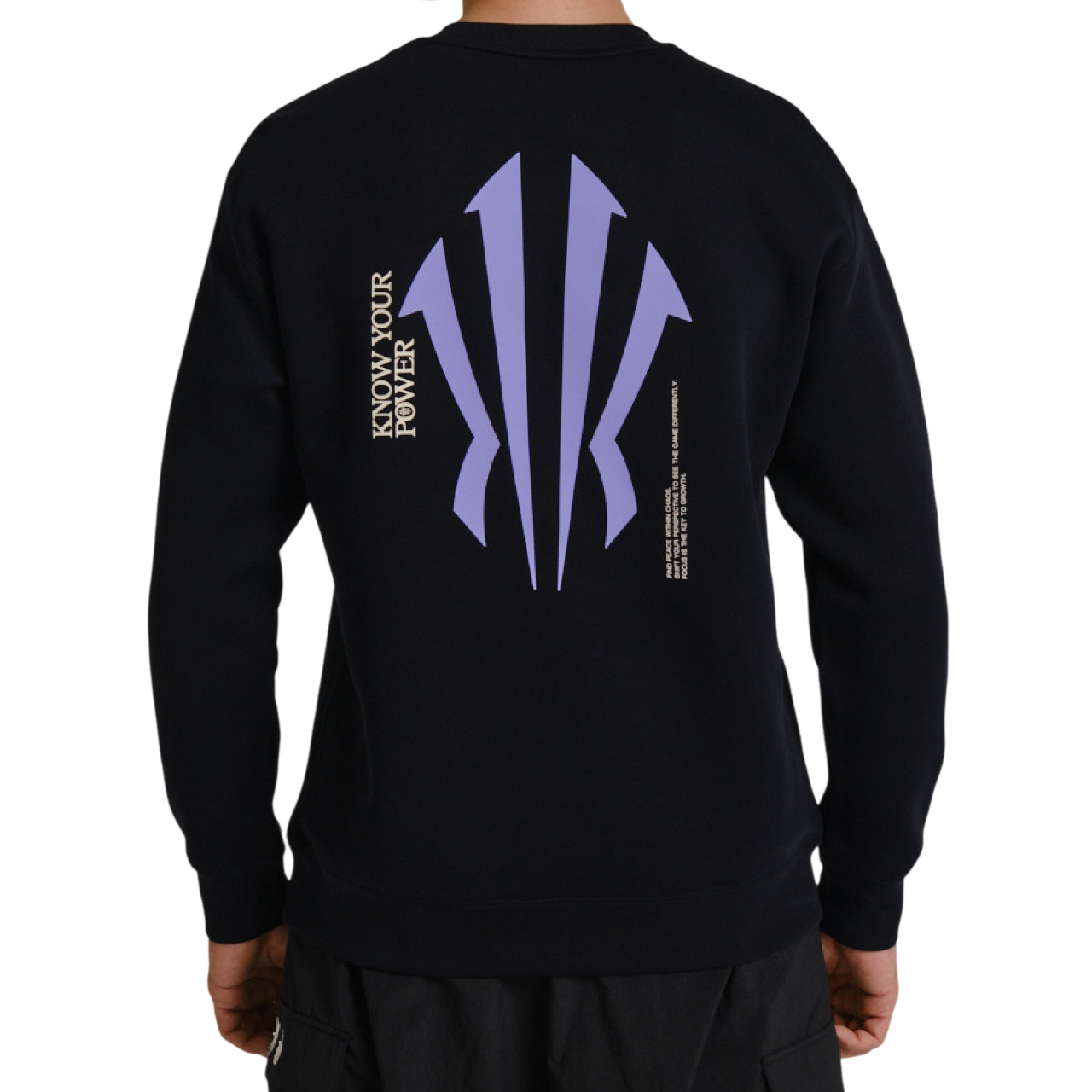 Купить Толстовка Anta KAI | 872531712-3 в Москве или заказать доставку на Slamdunk.su