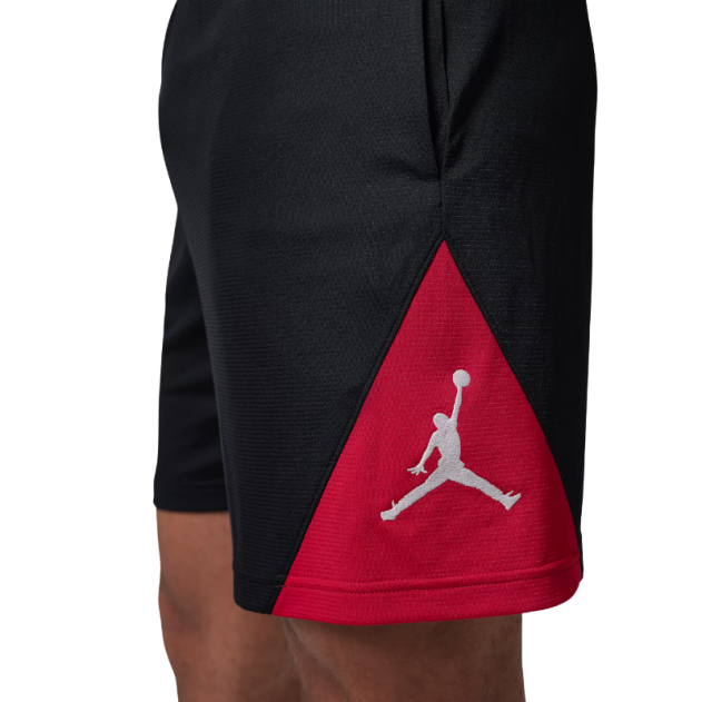 Купить Баскетбольные шорты Jordan Sport MenS Dri-Fit  | IQ5775-010 в Москве или заказать доставку на Slamdunk.su