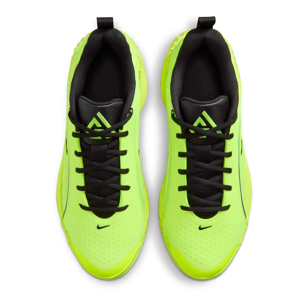 Баскетбольные кроссовки Nike Giannis Immortality 5 | IM5130-700